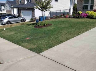 Marcel B.'s lawn service service result