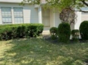 Tarun S.'s Bush Trimming service result