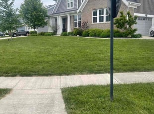 Nicole S.'s turf maintenance service result