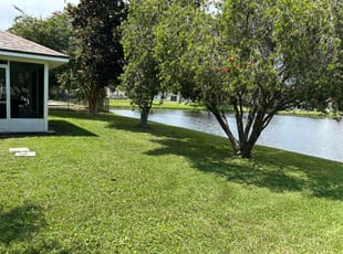 Jeenie D.'s turf maintenance service result