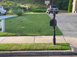 Niketa W.'s grass cutting service result