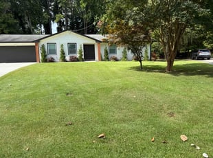 Kerrie P.'s turf care service result
