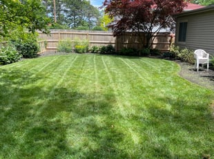 Sharmin S.'s Bush Trimming service result