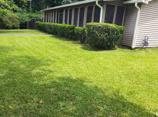 Malekia B.'s lawn care services service result