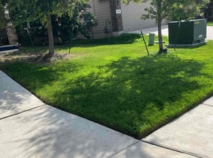Anthony C.'s turf maintenance service result