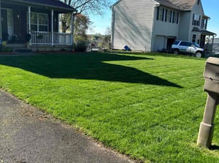 Karen S.'s lawn care service result