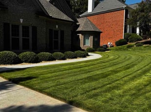 Amy M.'s lawn care services service result