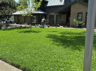 Randall V.'s lawn service service result
