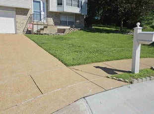 Shari M.'s grass maintenance service result