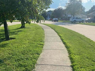 Eunice K.'s grass cutting service result