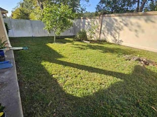 Michelle J.'s lawn care service result