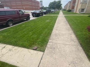 Marc P.'s grass maintenance service result