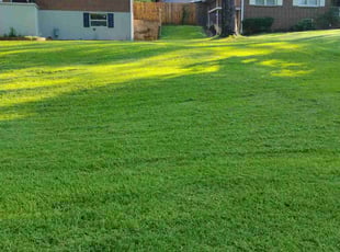Christopher C.'s grass maintenance service result
