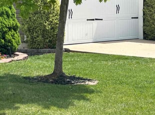 Patrick M.'s lawn service service result