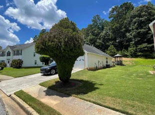 Leroy B.'s lawn maintenance service result