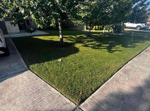 Christopher B.'s lawn care service result