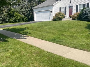 Patricia P.'s lawn service service result