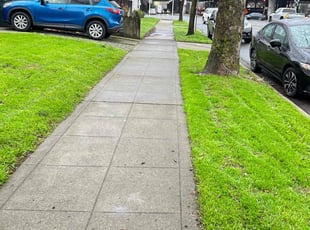 Teisha C.'s lawn service service result