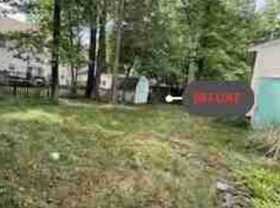 Walter P.'s Leaf Removal service result