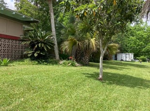 Valerie B.'s lawn care service result
