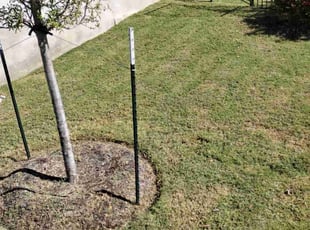 Linda J.'s lawn maintenance service result