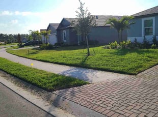 Carol M.'s grass maintenance service result