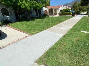 Mani S.'s grass cutting service result