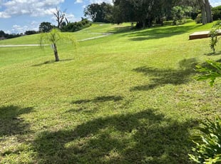 Brian L.'s grass cutting service result