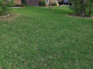 Jeff H.'s lawn service service result