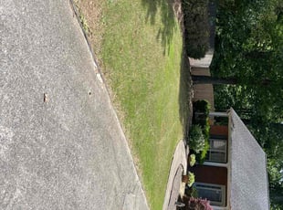 Vincent B.'s turf care service result