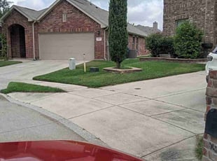 Gabriel M.'s turf maintenance service result