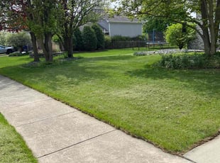 Ethel W.'s turf maintenance service result