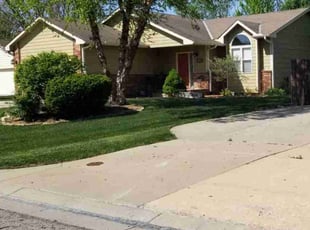 Mike M.'s lawn care service result