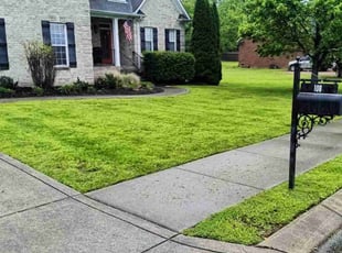 Luther M.'s lawn service service result