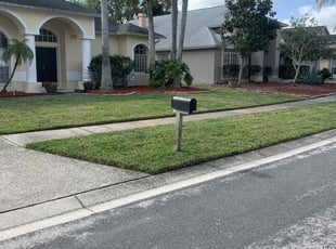 Taylor M.'s grass cutting service result