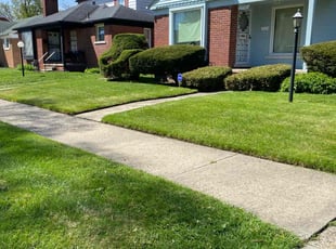 Davida T.'s grass maintenance service result