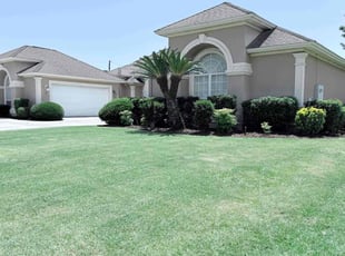 Doug L.'s grass maintenance service result