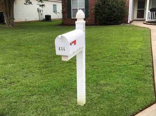 Ashley J.'s grass maintenance service result