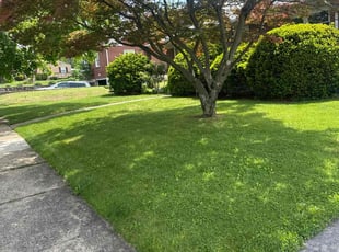 Charles K.'s grass maintenance service result