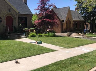 Rhoda J.'s lawn care services service result