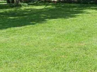 Samuel M.'s lawn maintenance service result