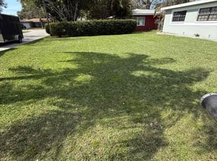 Josh G.'s lawn care service result