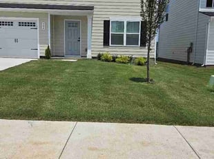 Matthew W.'s lawn service service result