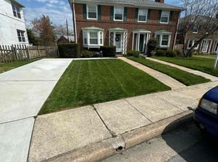 Camron D.'s turf maintenance service result