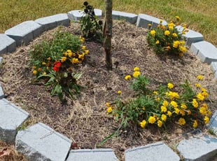 Madonna G.'s Flower Bed Weeding service result