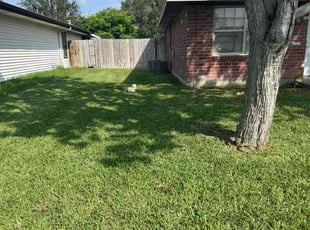 Jill S.'s Long Grass Cleanup service result