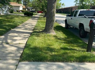 Shannon L.'s turf maintenance service result