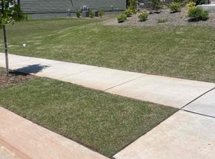 Elite H.'s grass maintenance service result