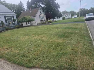 Lorenzo B.'s turf maintenance service result