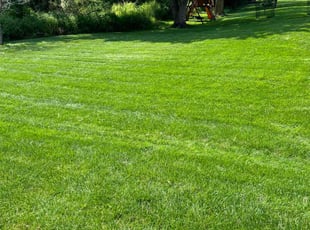 Kayda H.'s lawn maintenance service result
